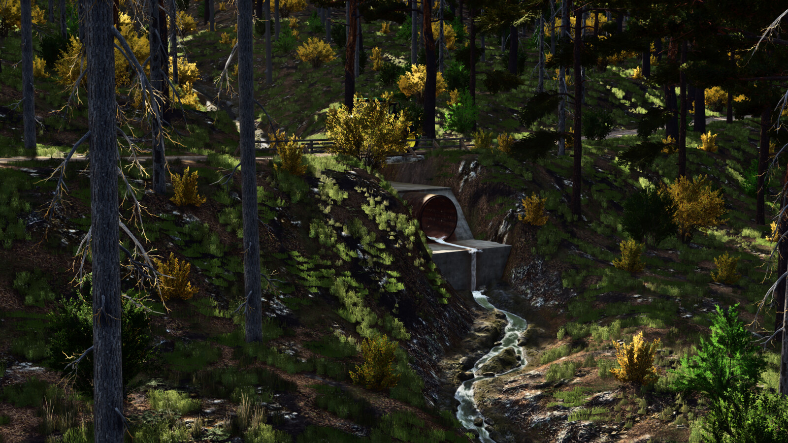 The Haut Doubs Forest