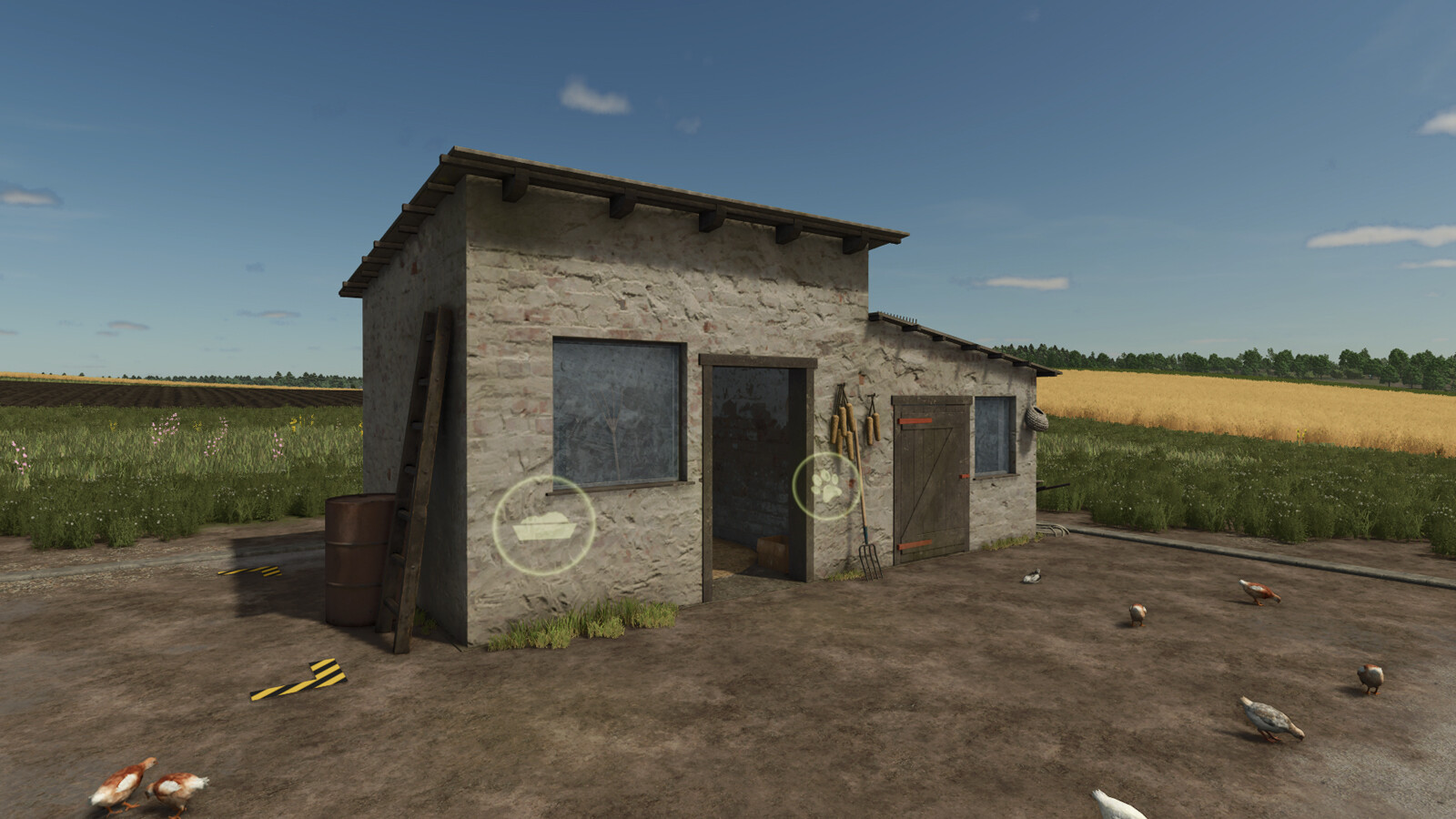 Homemade Chicken Coop