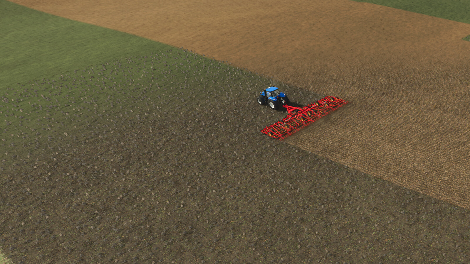 Neighbors On The Fields