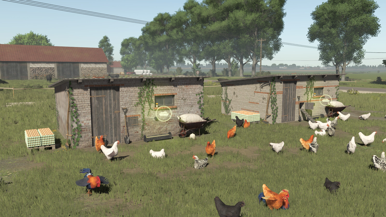 Polish Chicken Coops