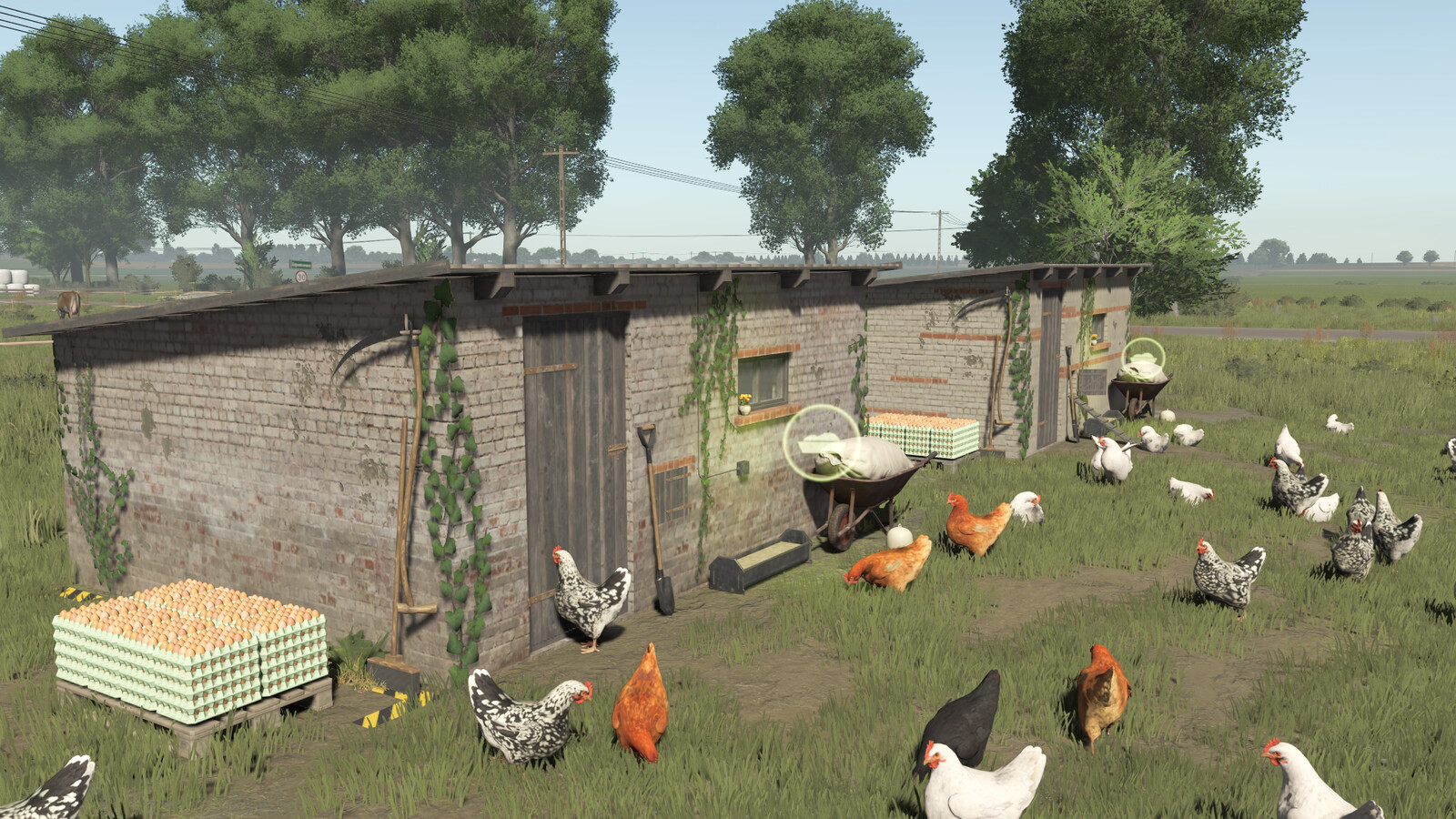 Polish Chicken Coops