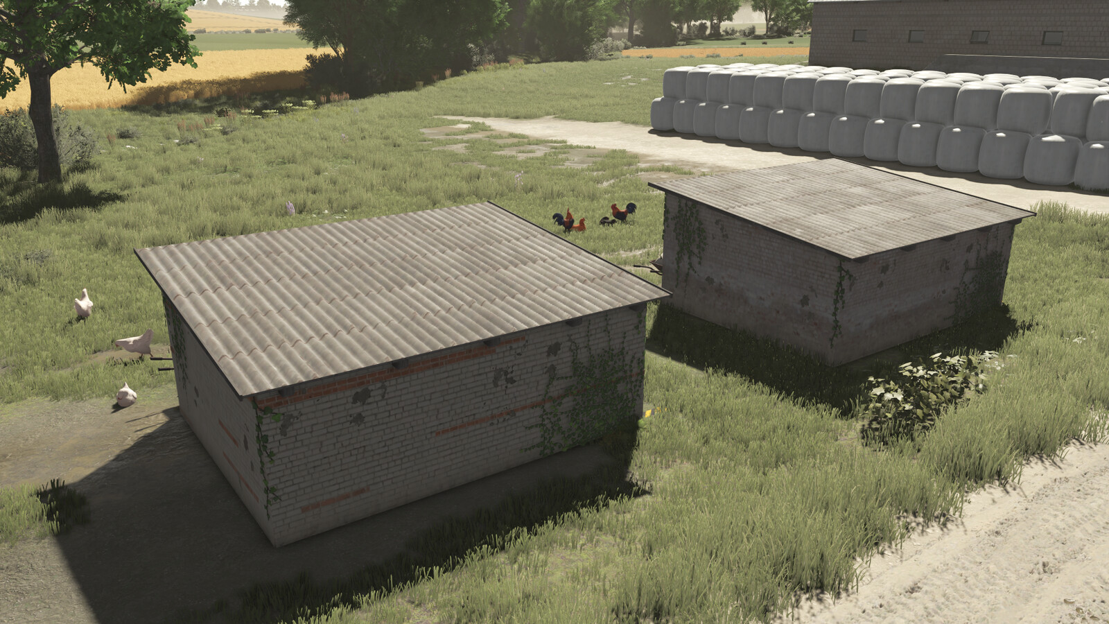 Polish Chicken Coops
