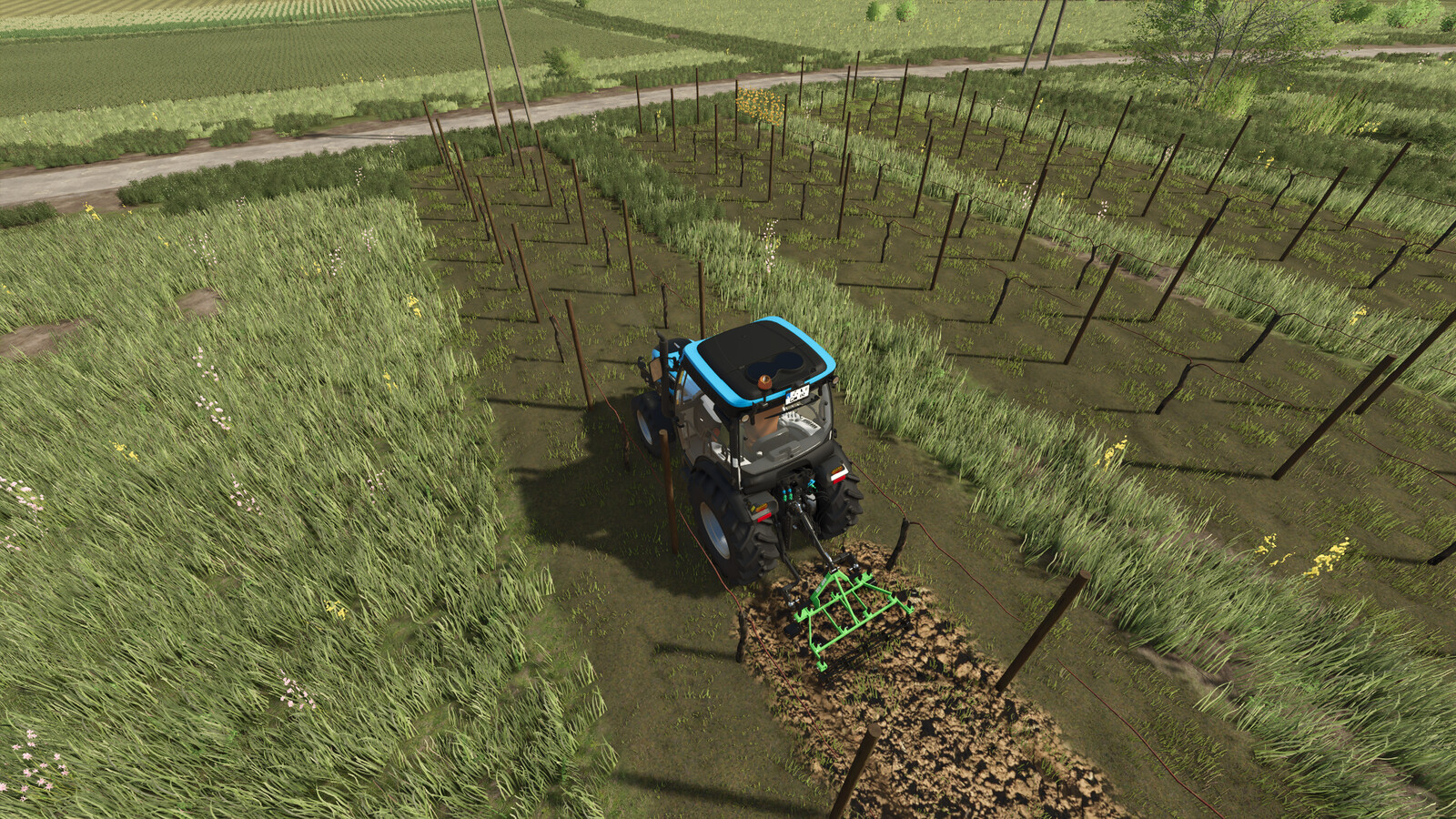 Narrow Vines And Olives (2 And 2.50)