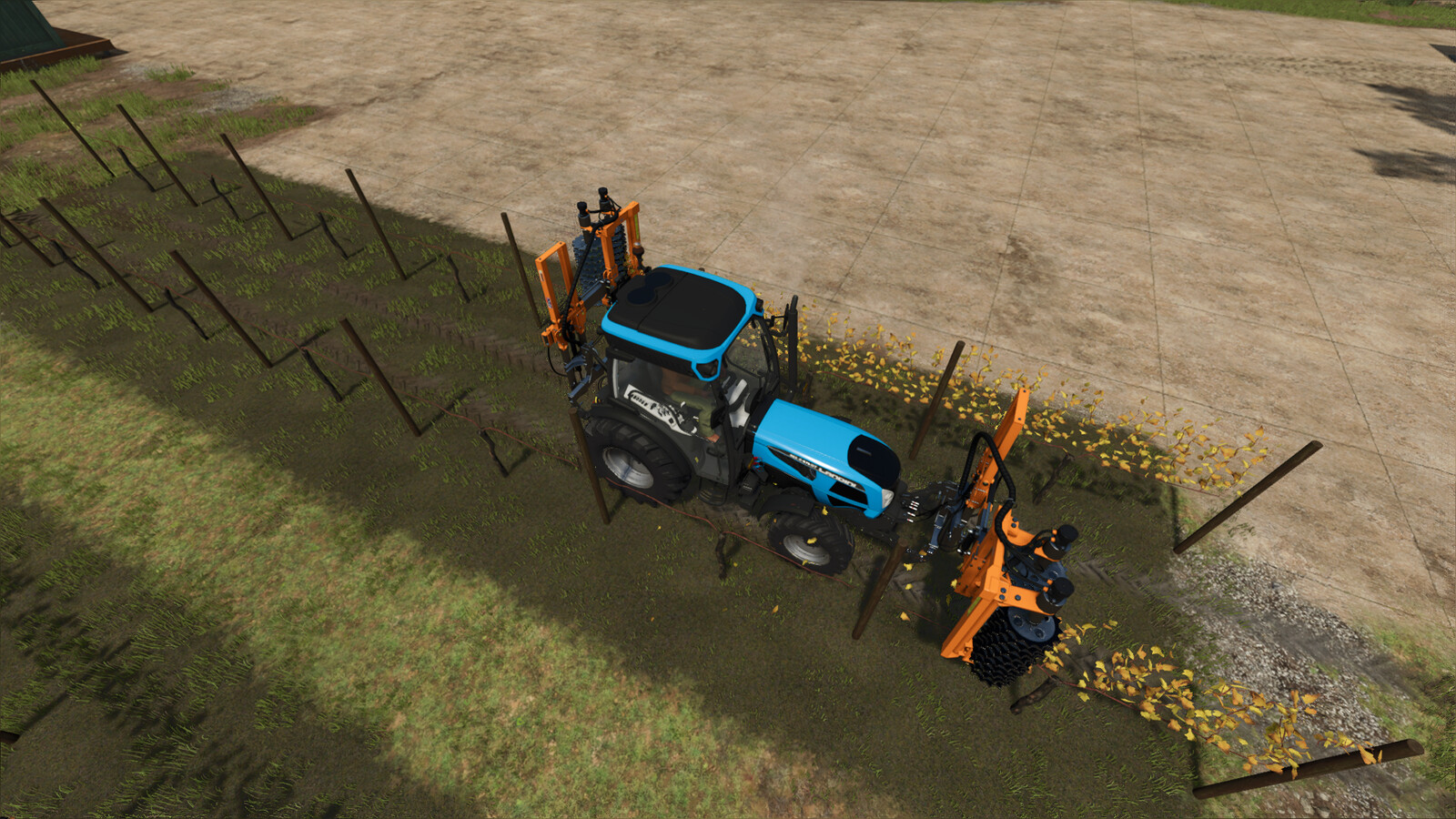 Narrow Vines And Olives (2 And 2.50)