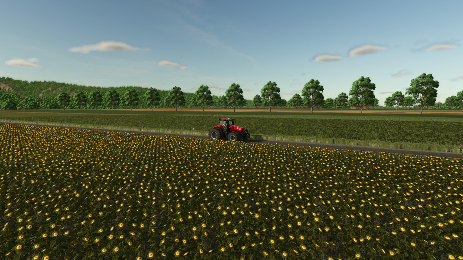 Deadwood The Next Chapter