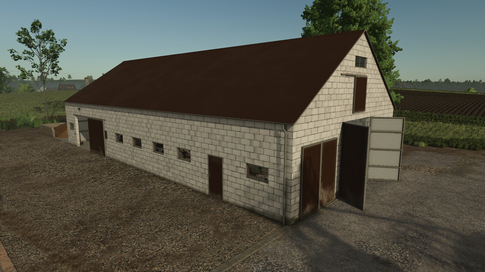 Cow Barn With Manure Plate