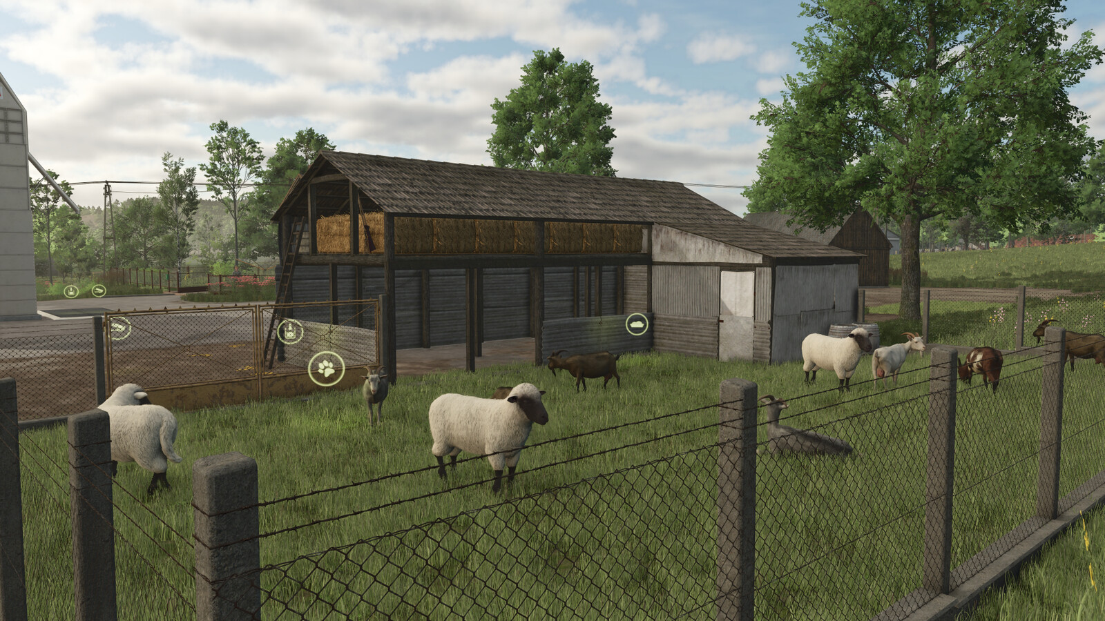 Shabby Sheep Barn