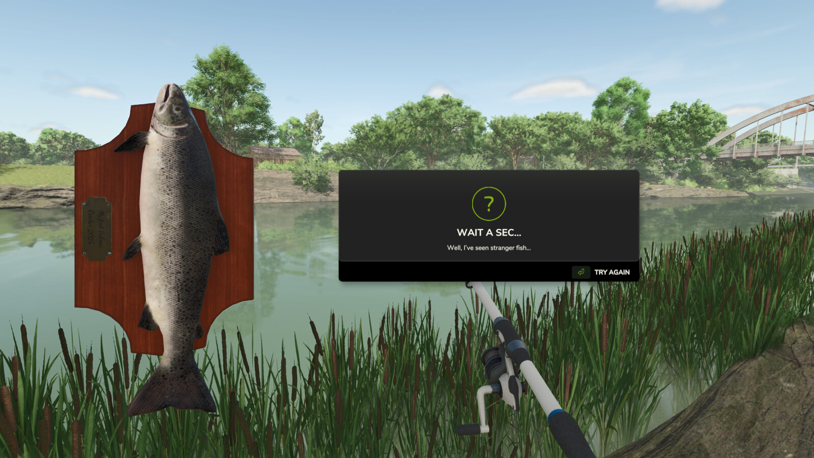 Fast Fishing