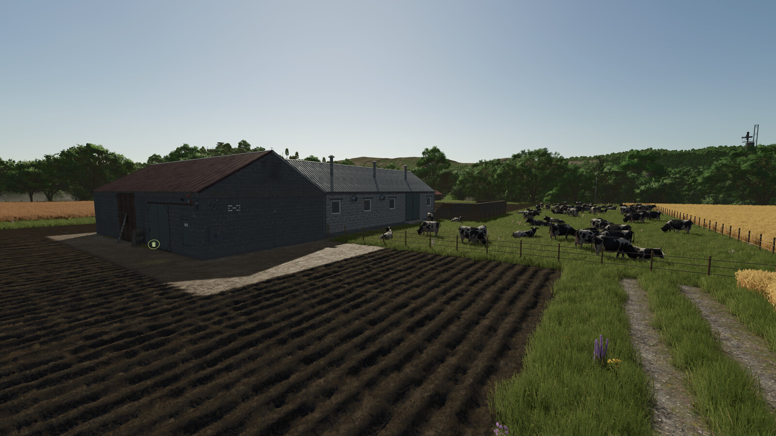 Polish Cow Barn With Storage