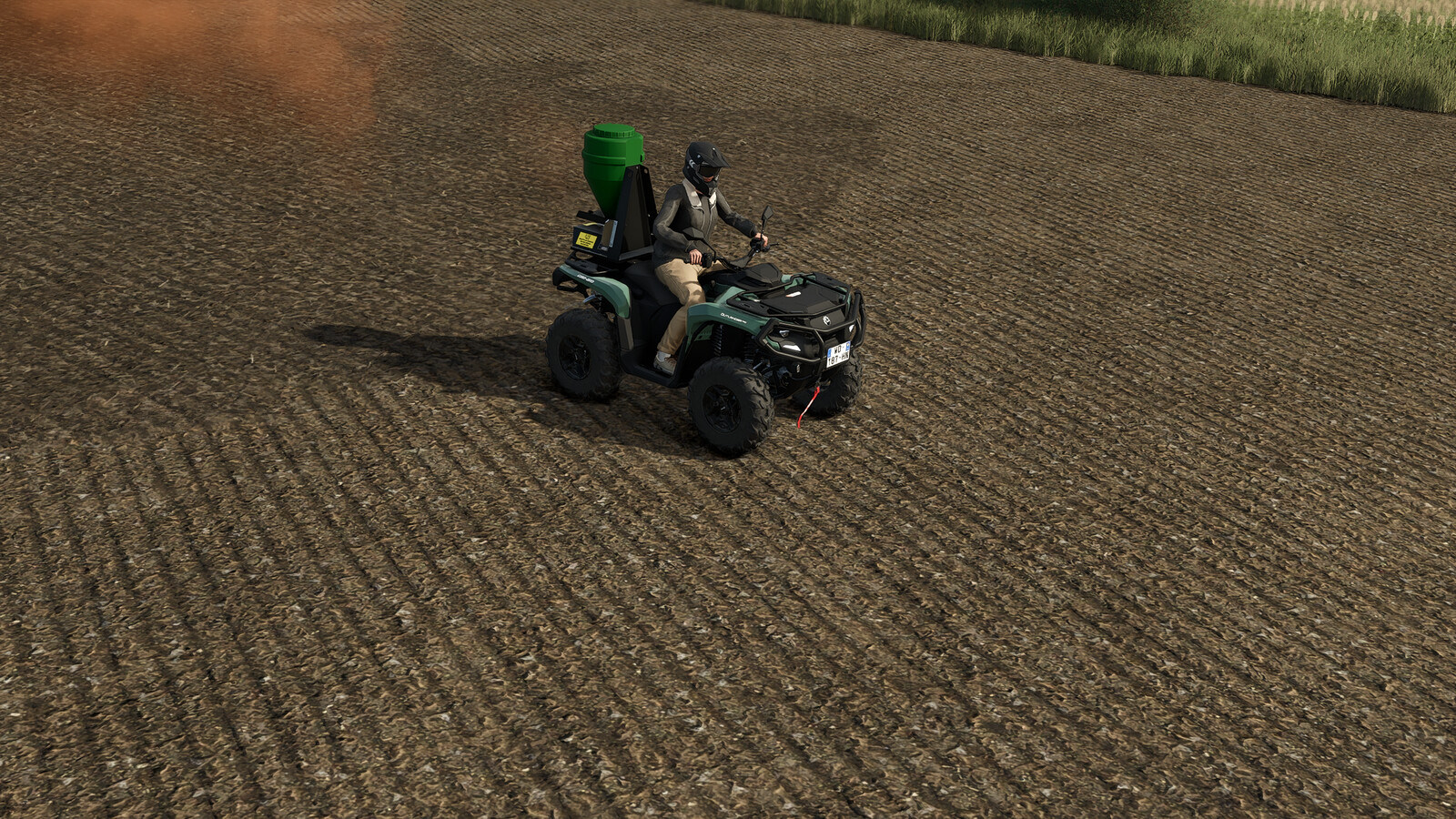 Lizard Type 24
