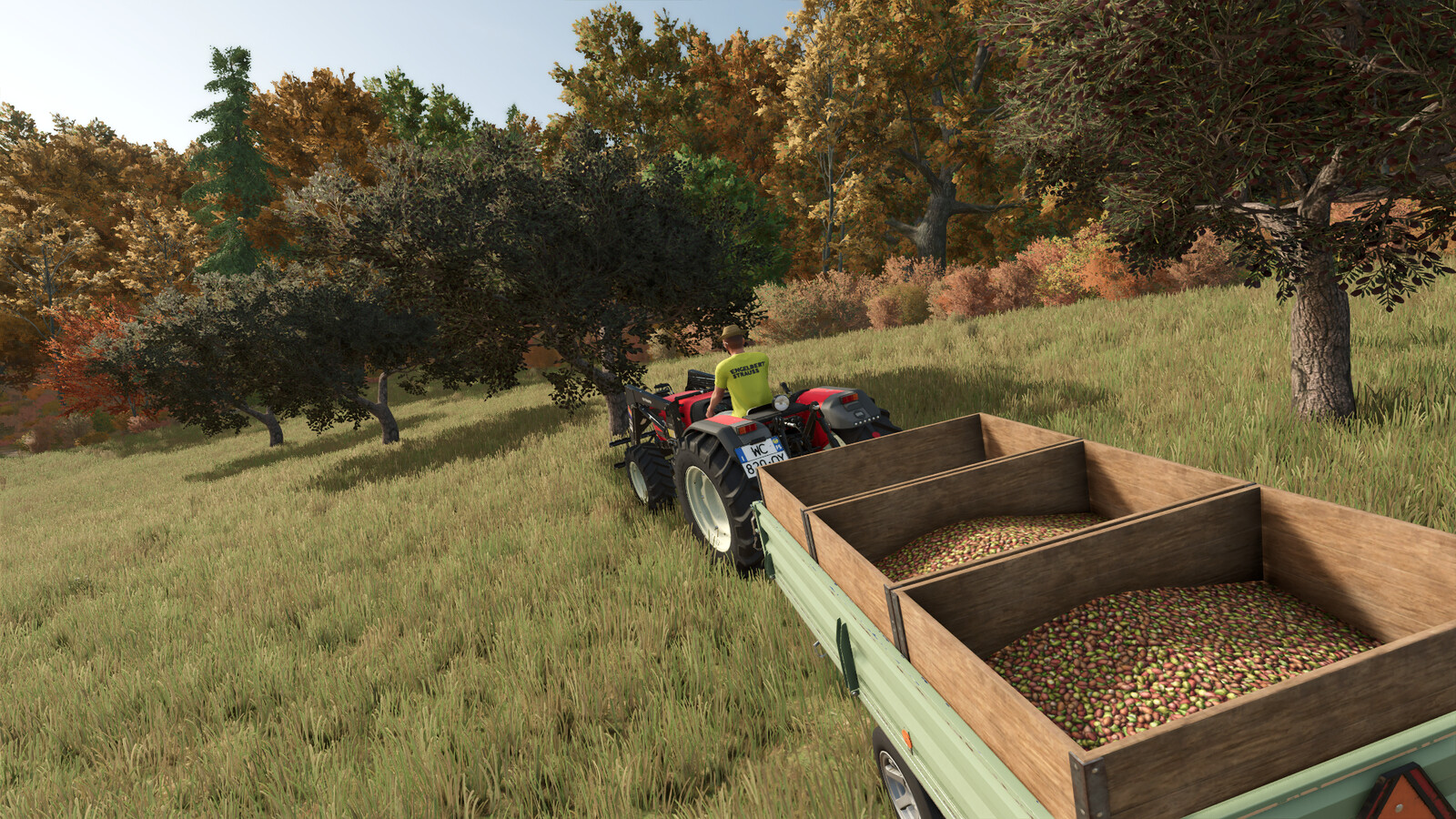 Olive Harvest Trailer