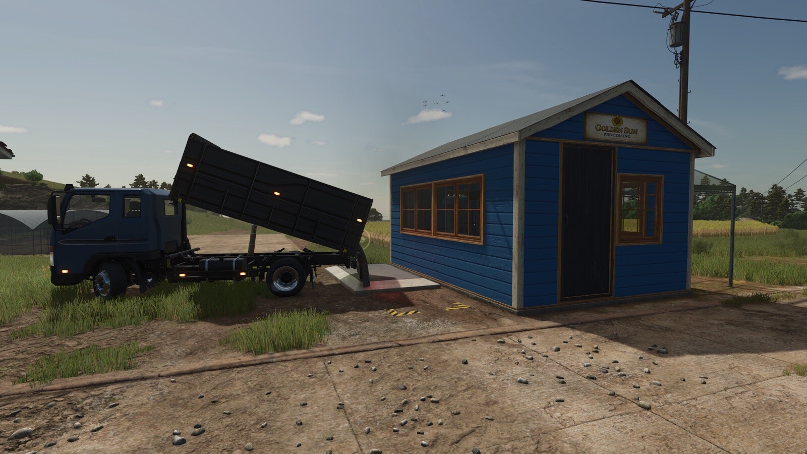 Sunflower Boutique