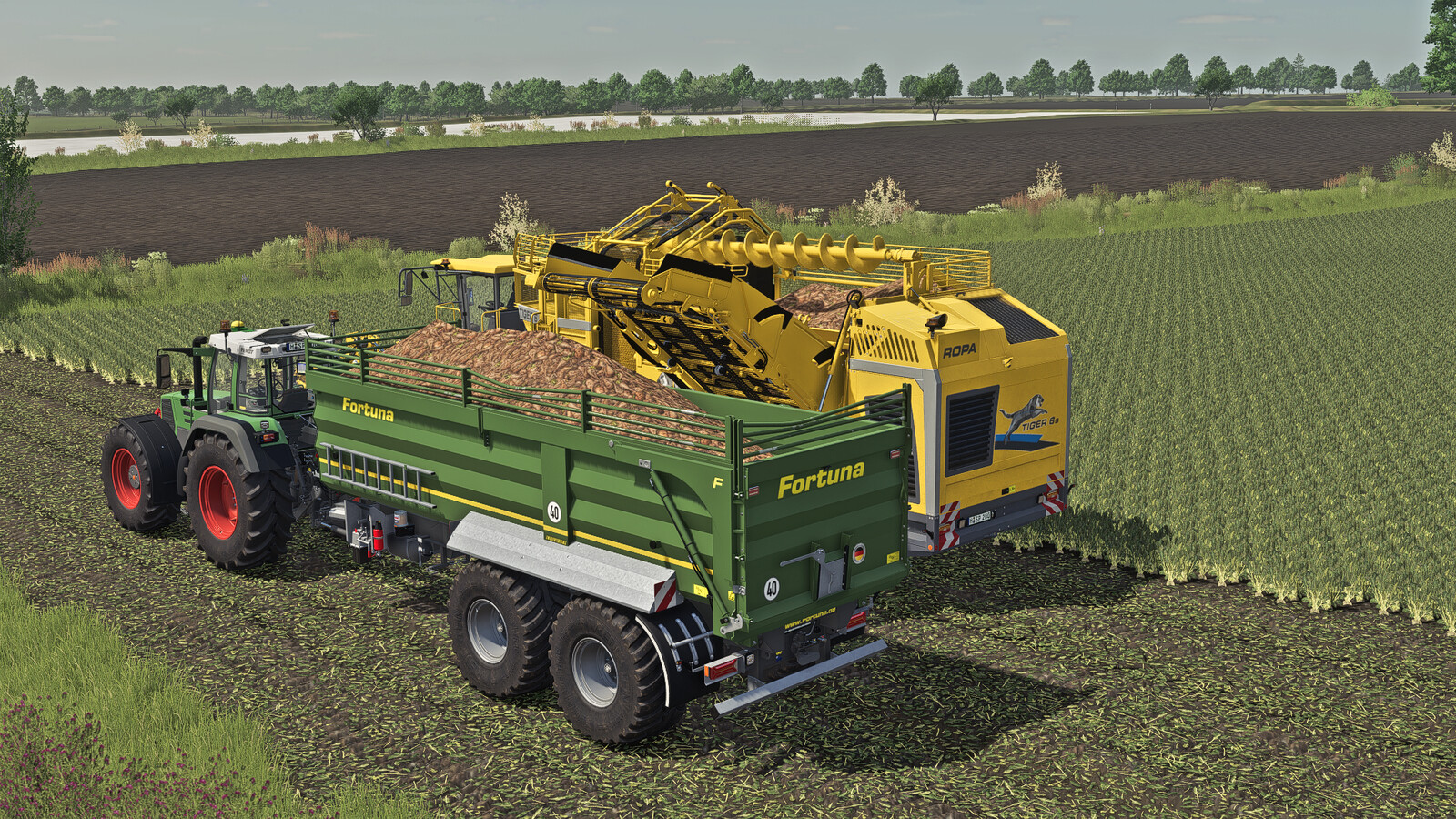 Fortuna FTM 200 / 7.5