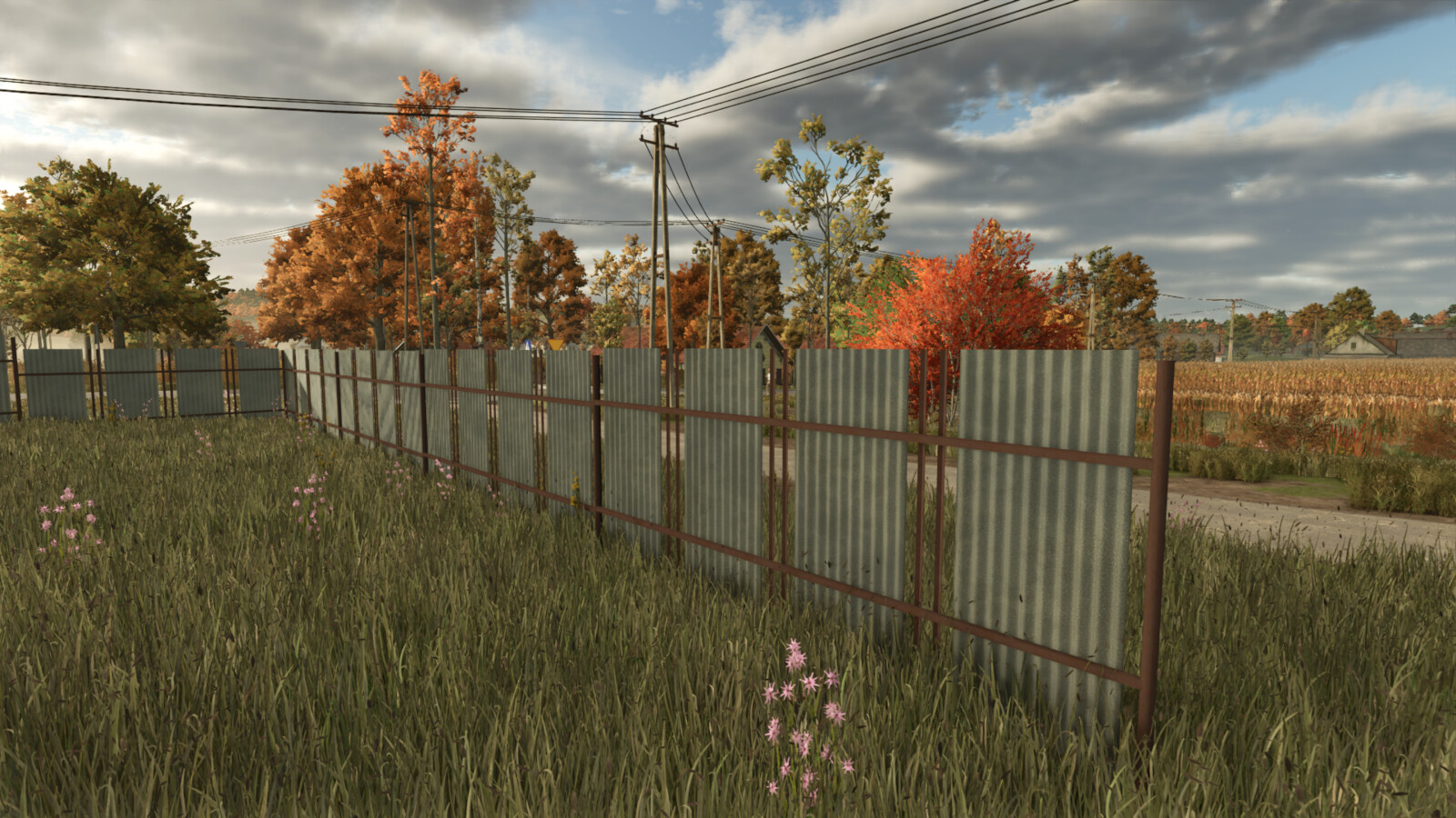 Corrugated Iron Fence