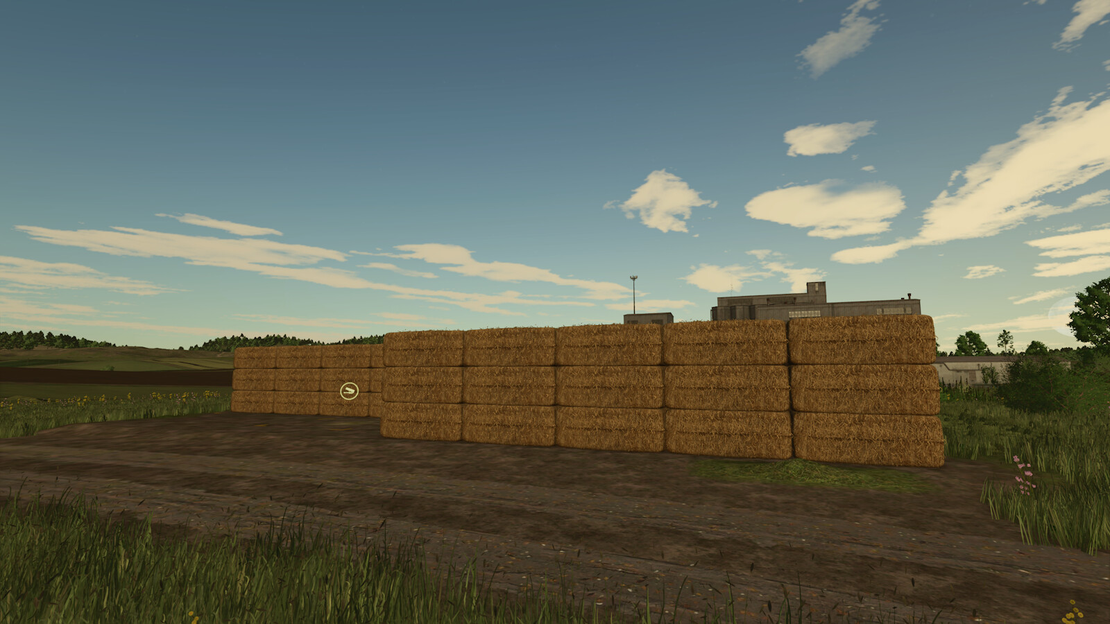 Automatic Bale Storage