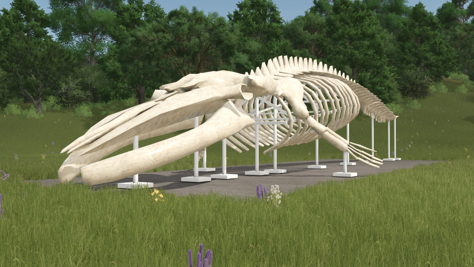 Whale Skeleton Sculpture