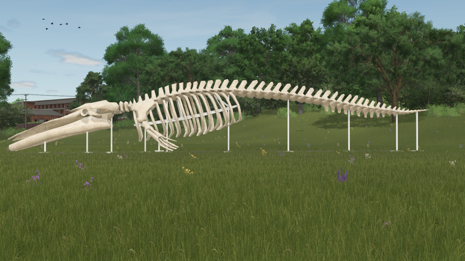 Whale Skeleton Sculpture