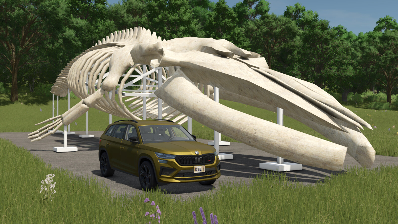Whale Skeleton Sculpture