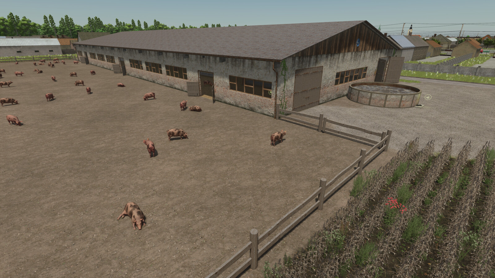 XXL Pig Barn