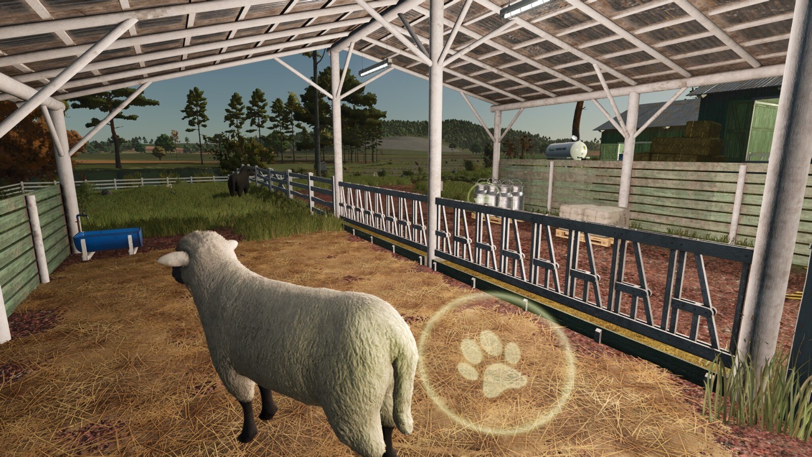 Fenceless Sheep Pasture