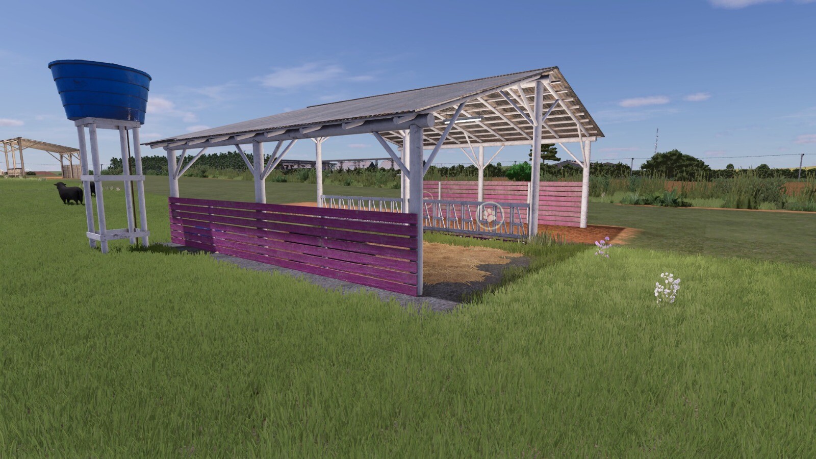 Fenceless Sheep Pasture