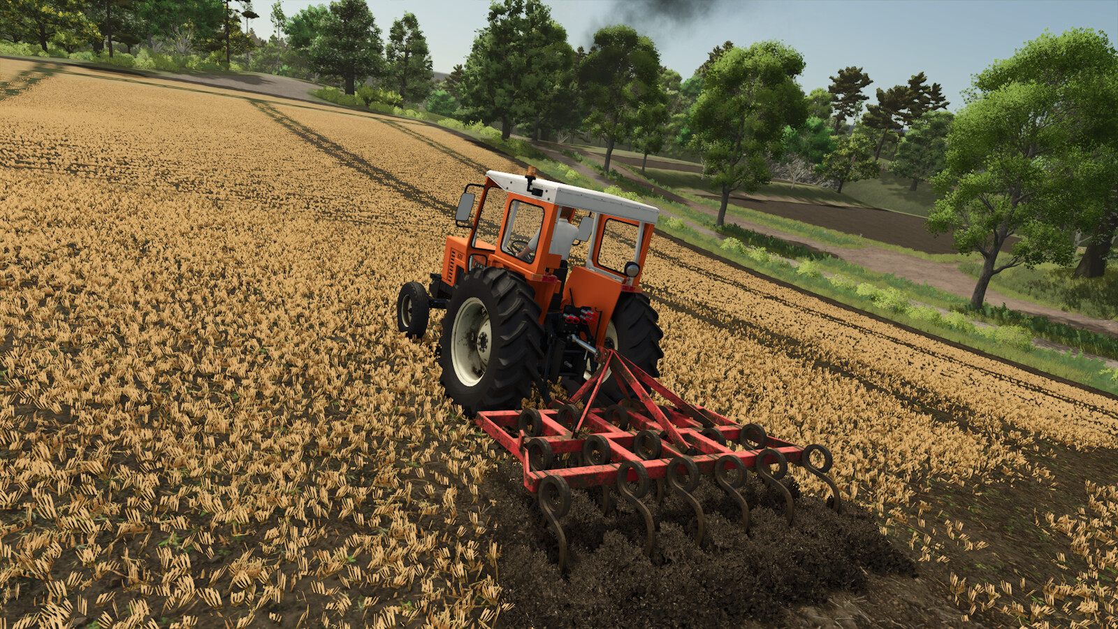 Lizard Tiller 17