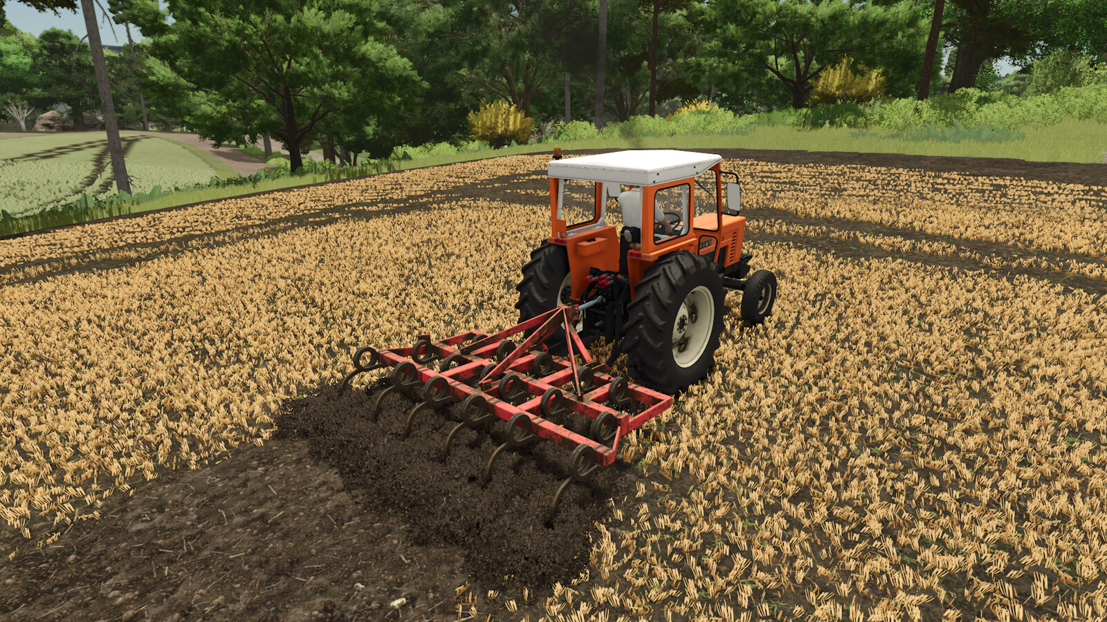 Lizard Tiller 17