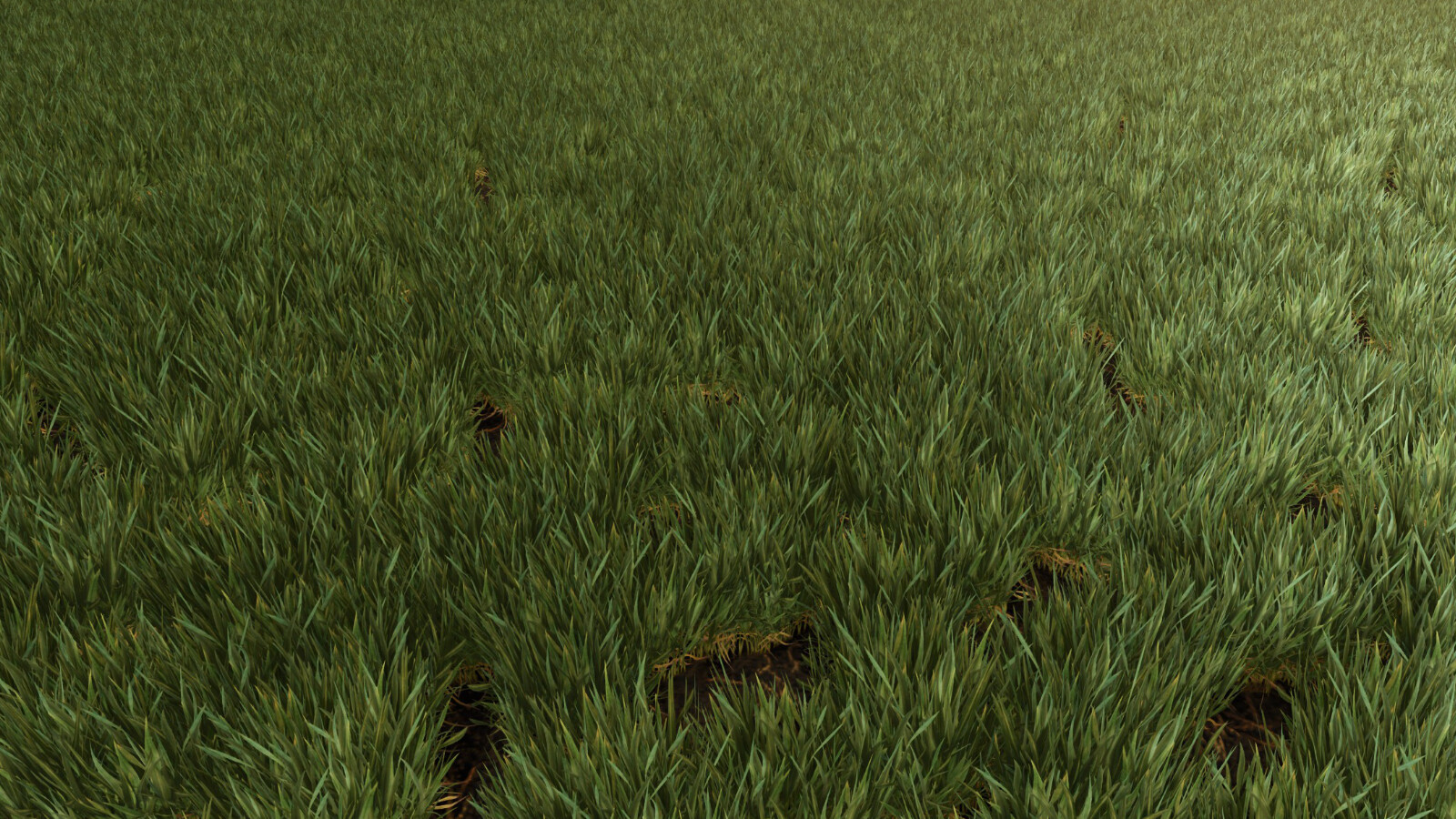 Weed Cleaner - Dead Weeds Disappear