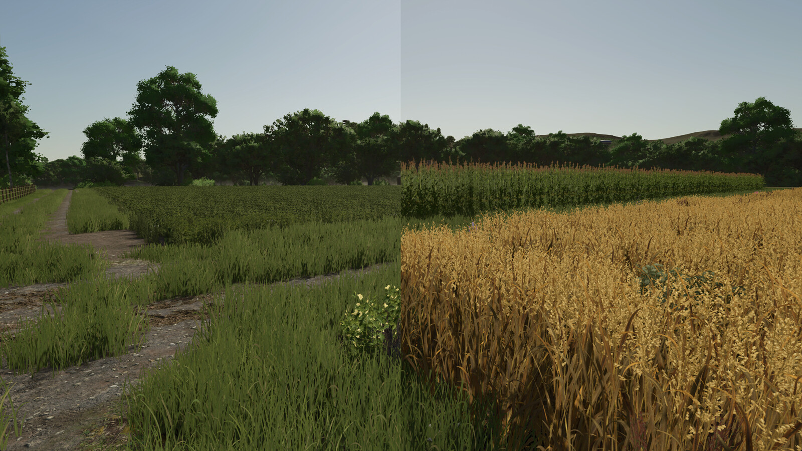 Repopulate Fields