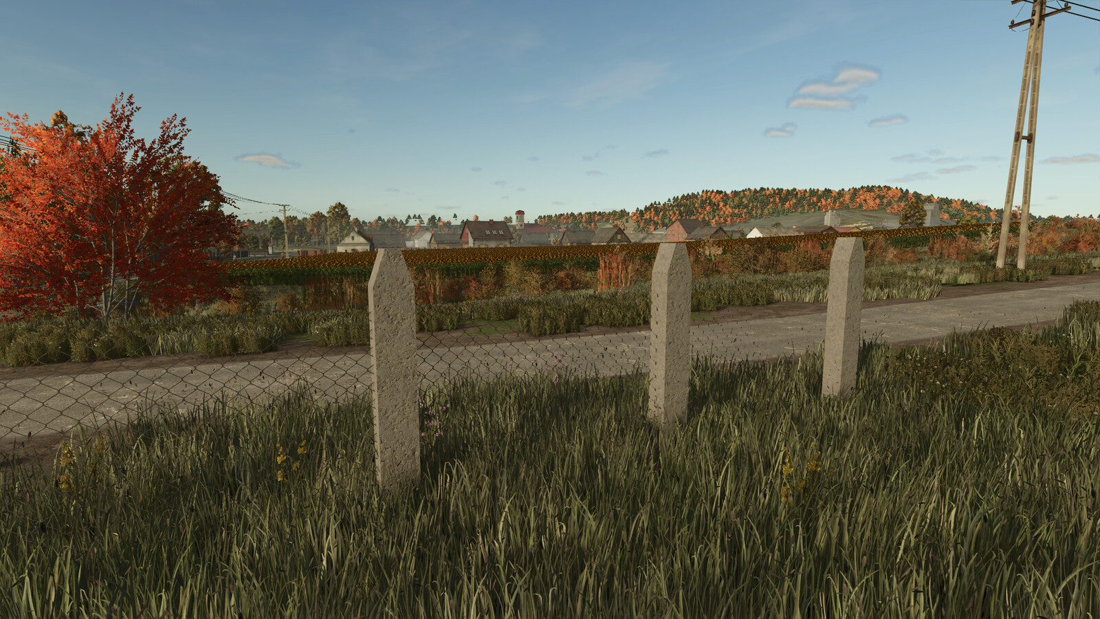 Old Concrete Fence