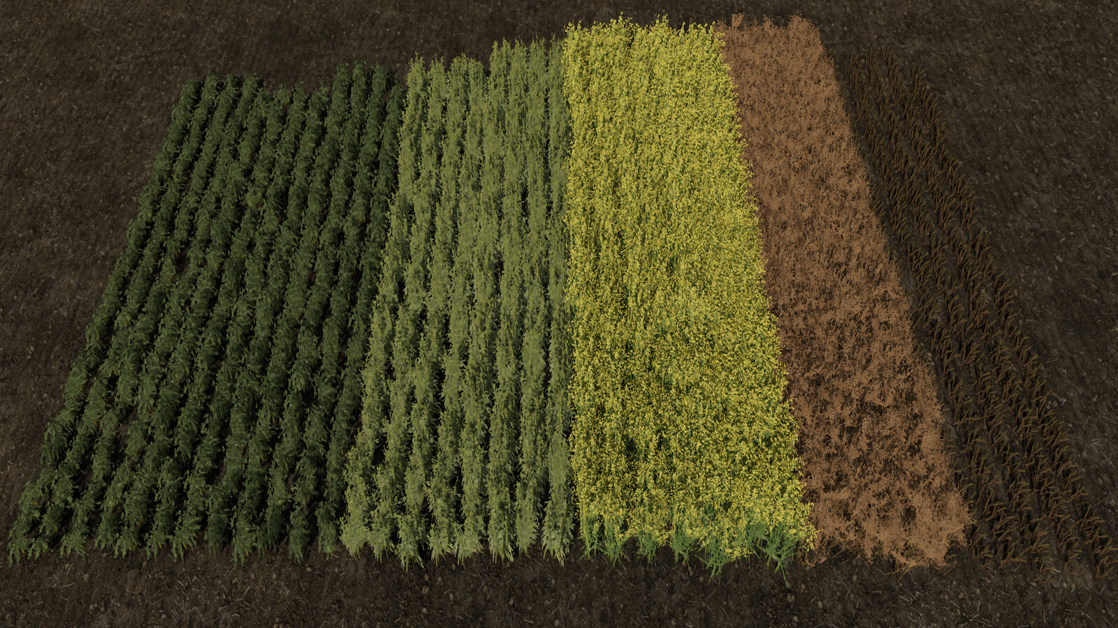 Row Seeding Barley, Oat, Wheat, Canola (Prefab*)