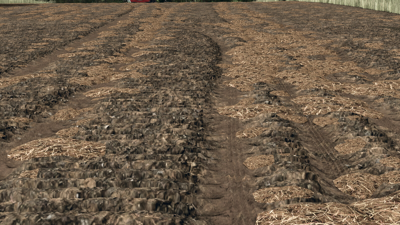 Manure Clumps