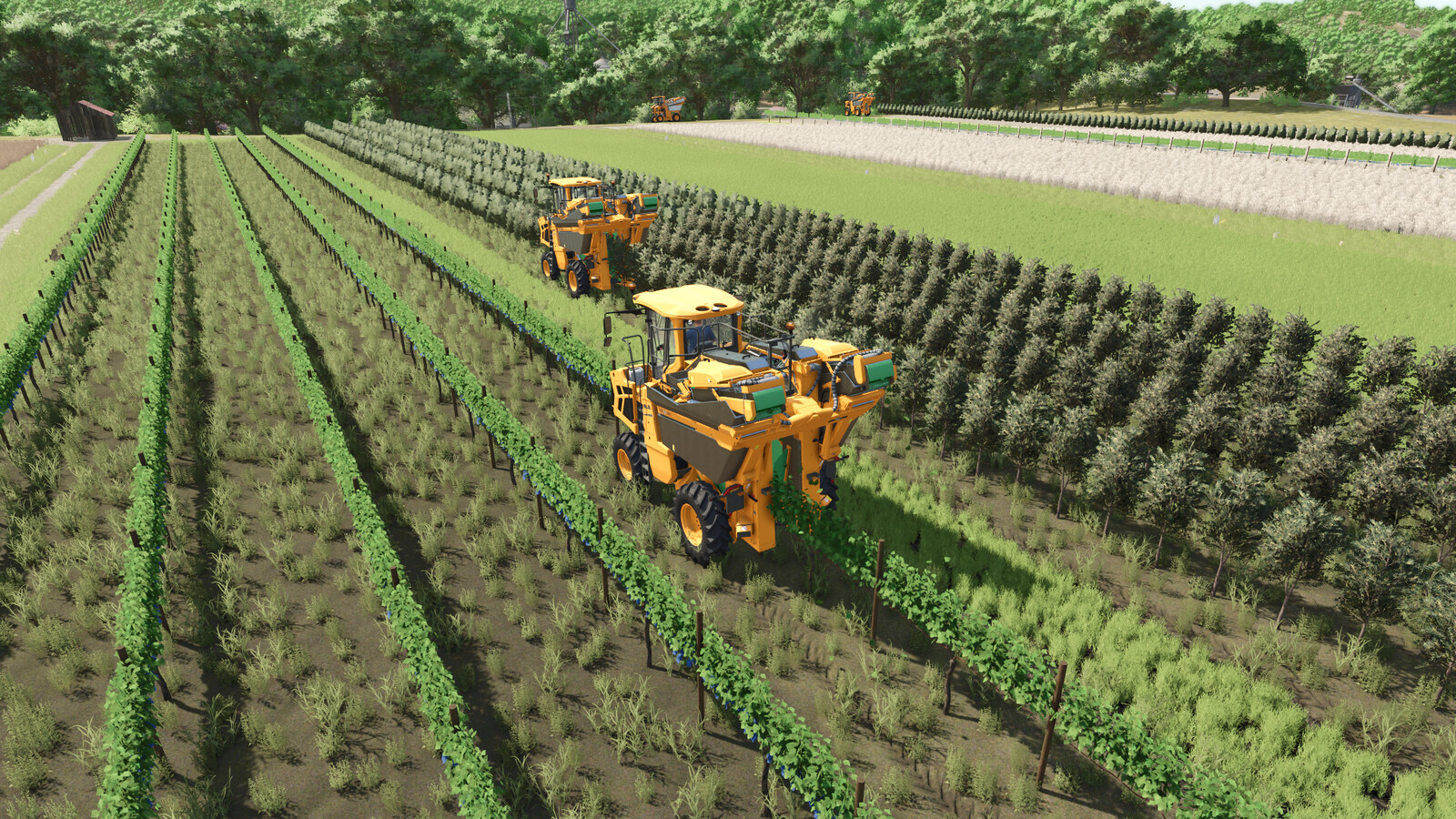 Grape And Olive Yield Settings