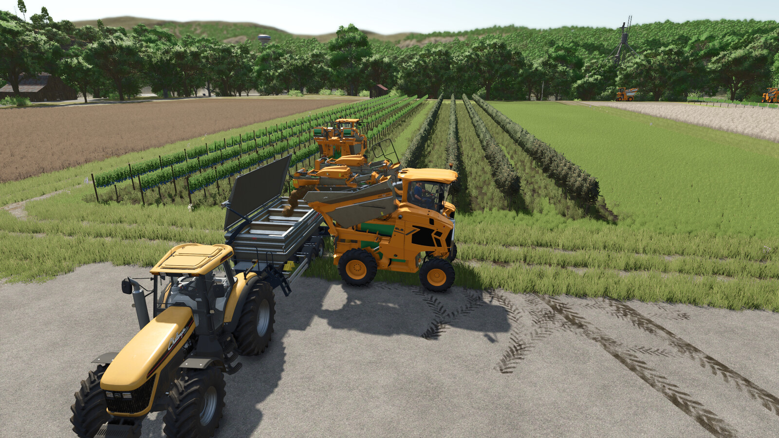 Grape And Olive Yield Settings
