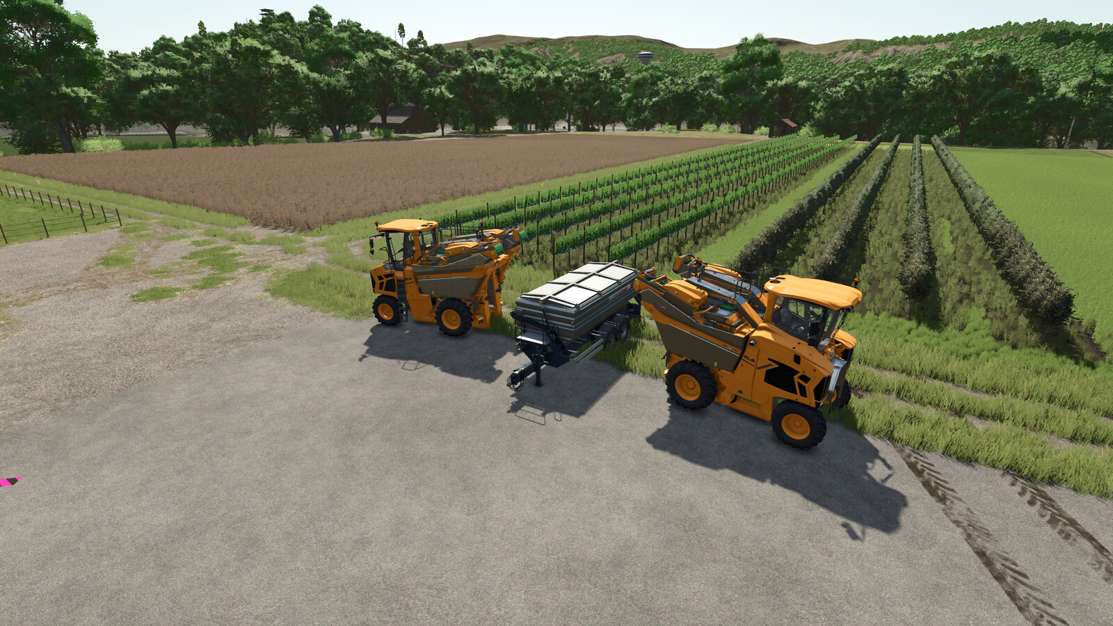Grape And Olive Yield Settings