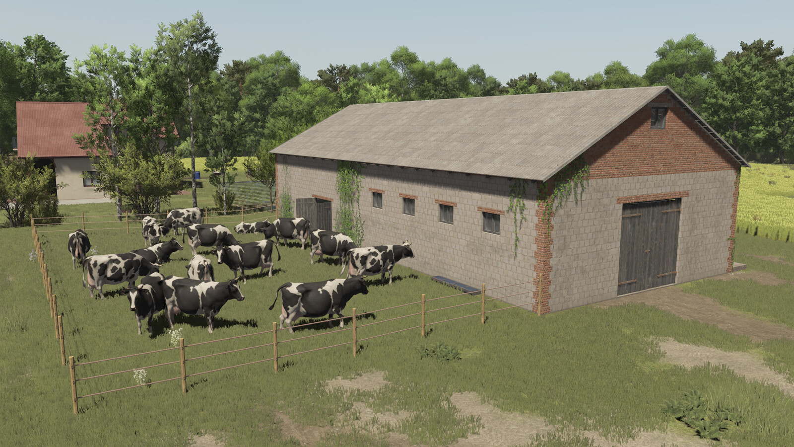 Polish Cowshed With Pasture