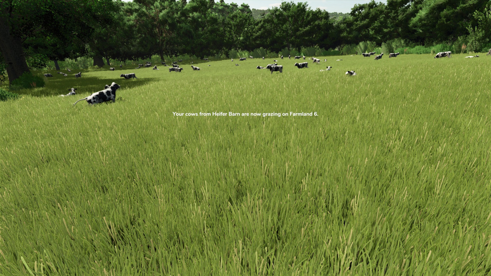 To Pasture And Back