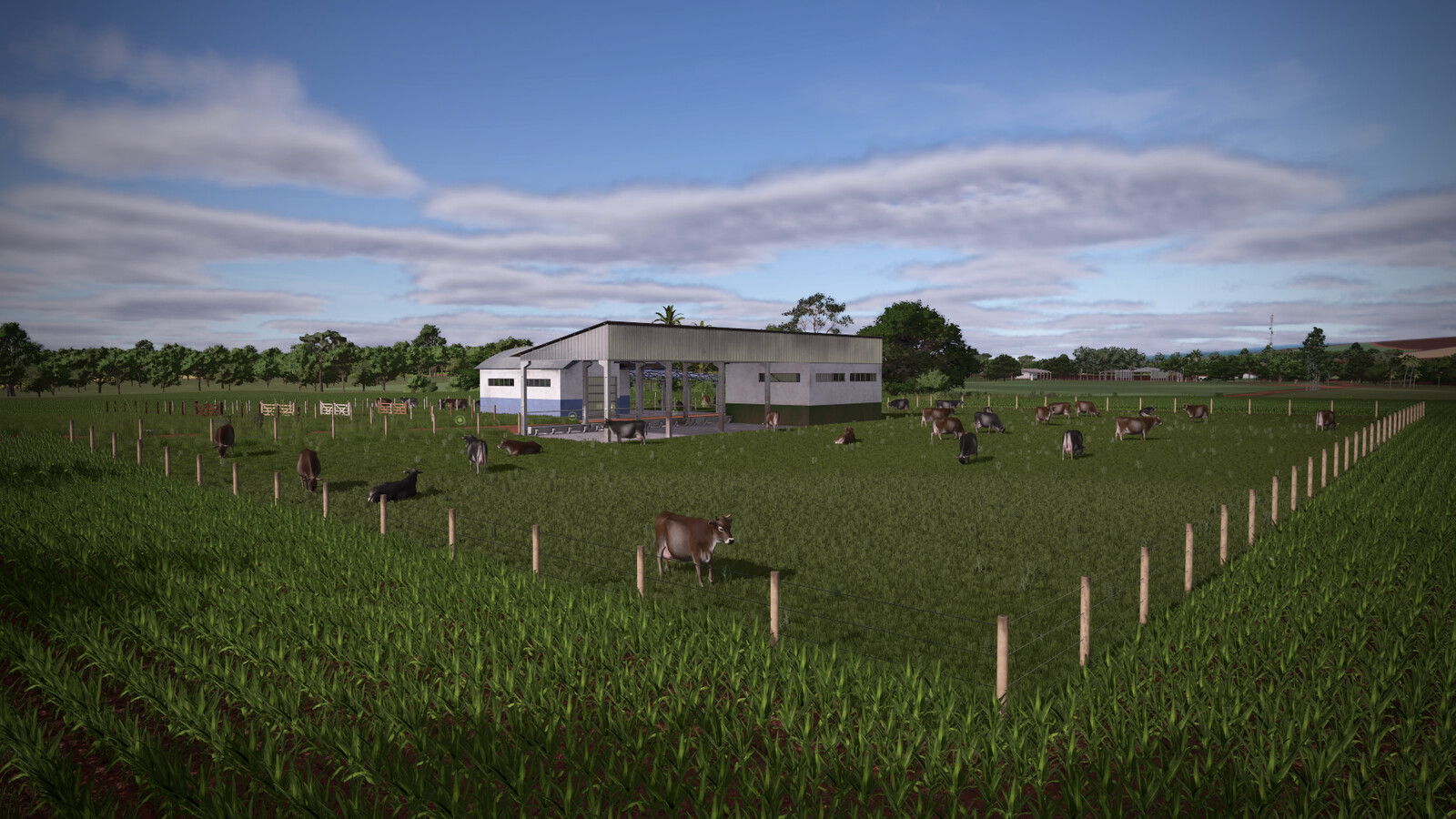 ESC Cow Barns