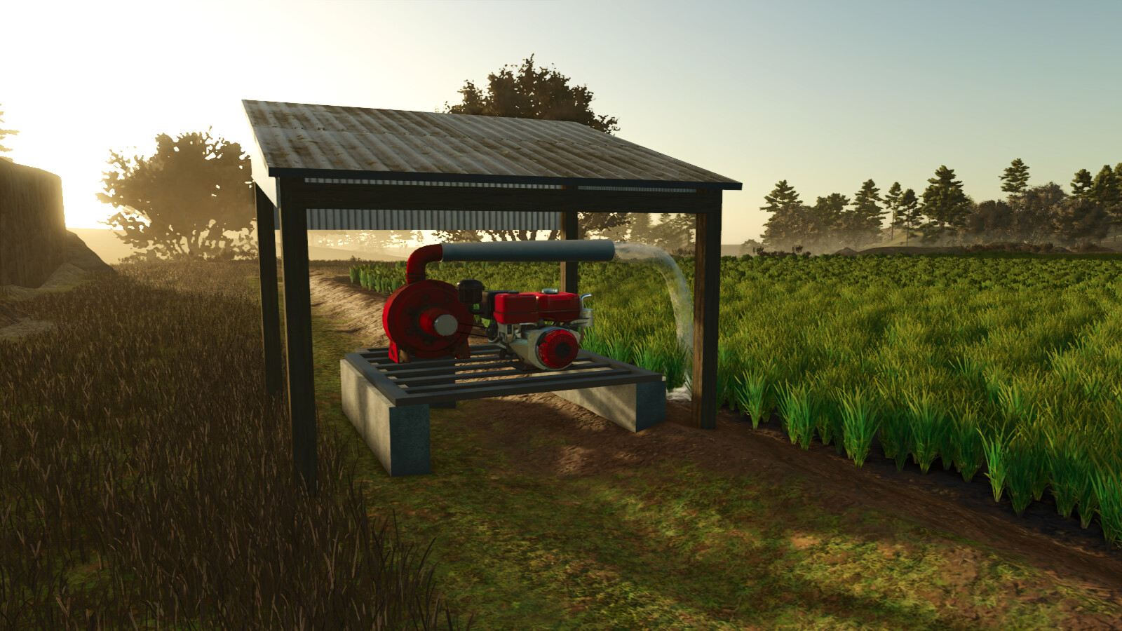 Custom Rice Fields BR