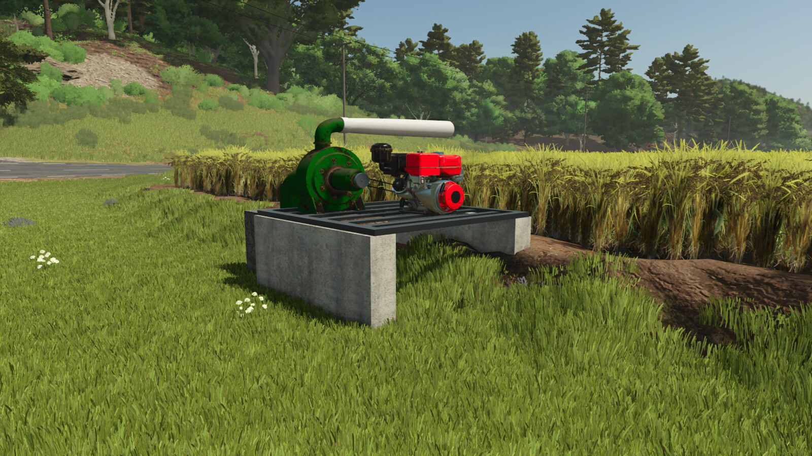 Custom Rice Fields BR