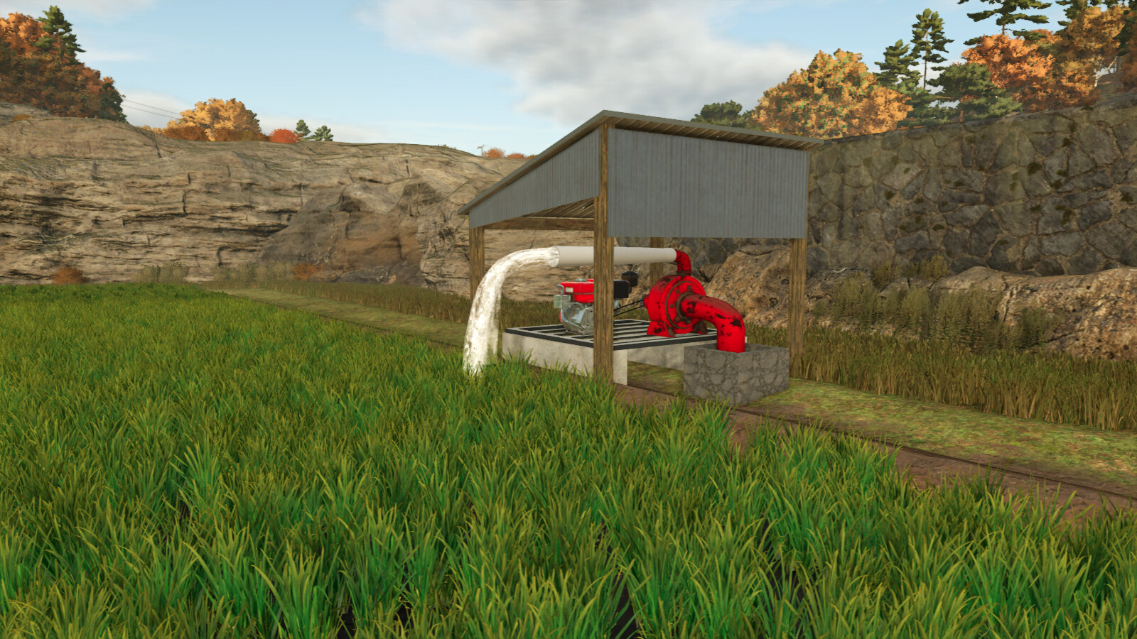 Custom Rice Fields BR
