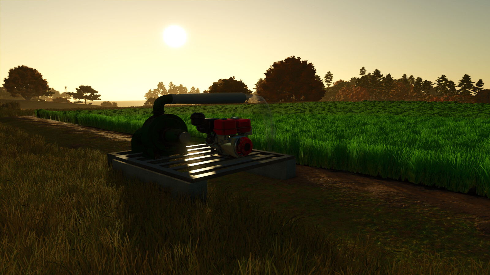 Custom Rice Fields BR