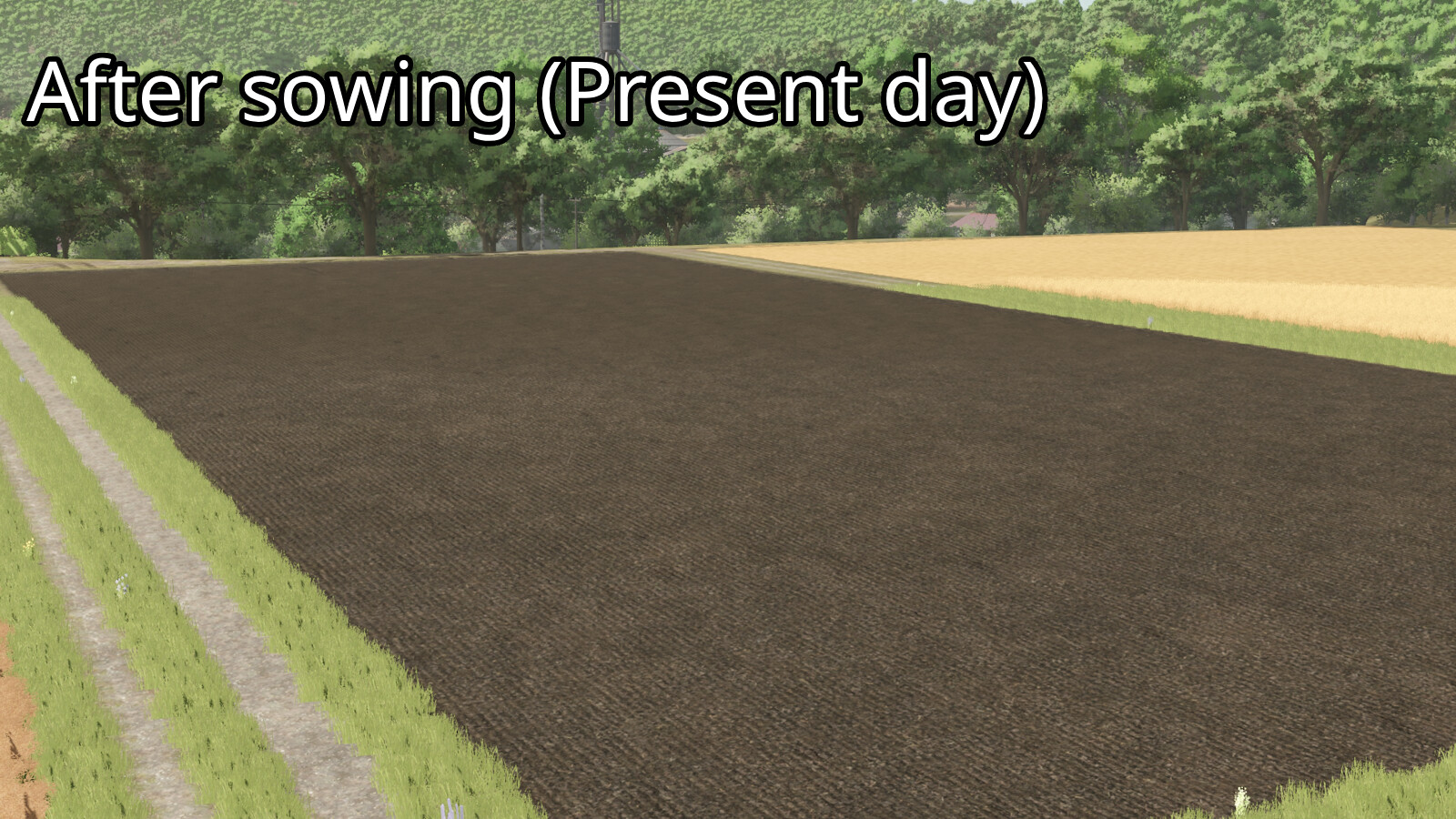 24 Hour Crop Growth