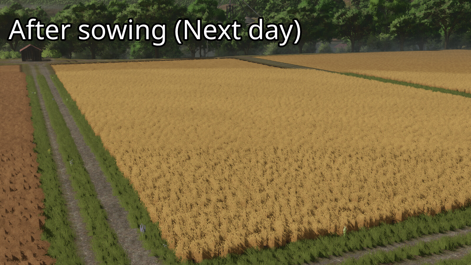 24 Hour Crop Growth