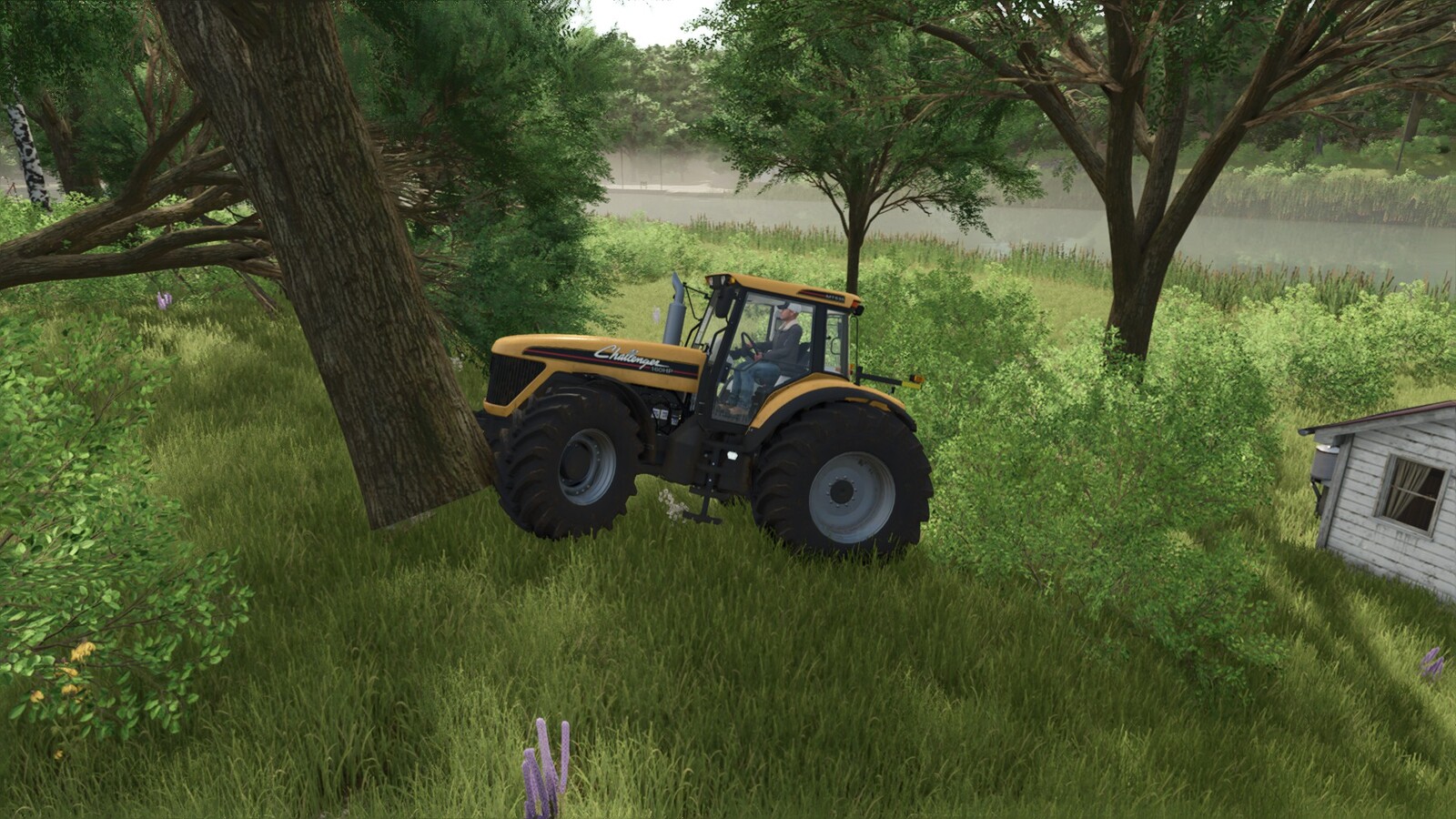 Impact Tree Feller - Impact Damage
