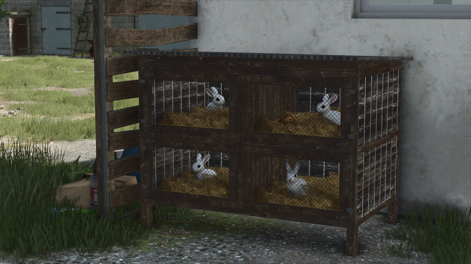 Rabbit Cages