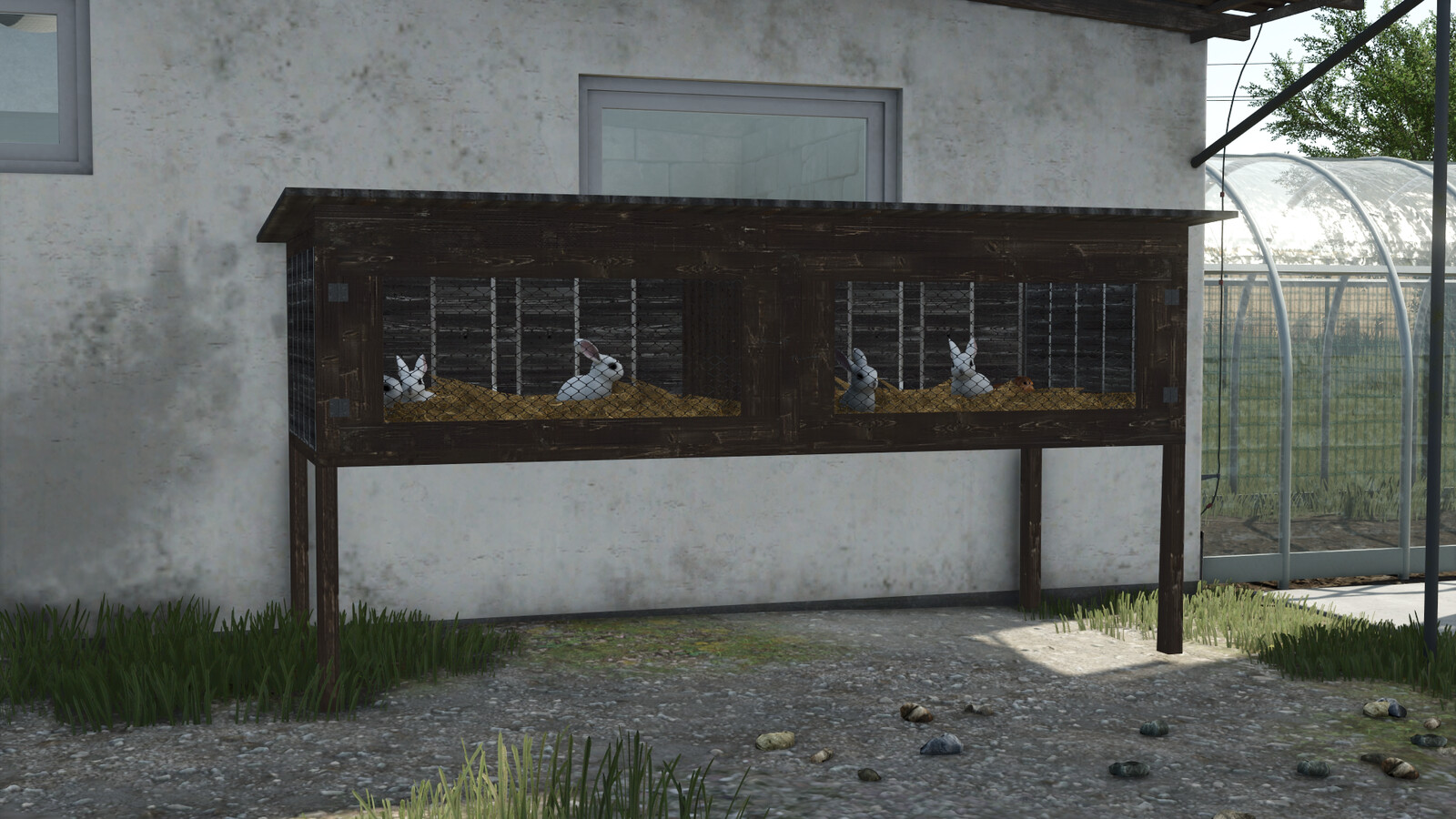 Rabbit Cages