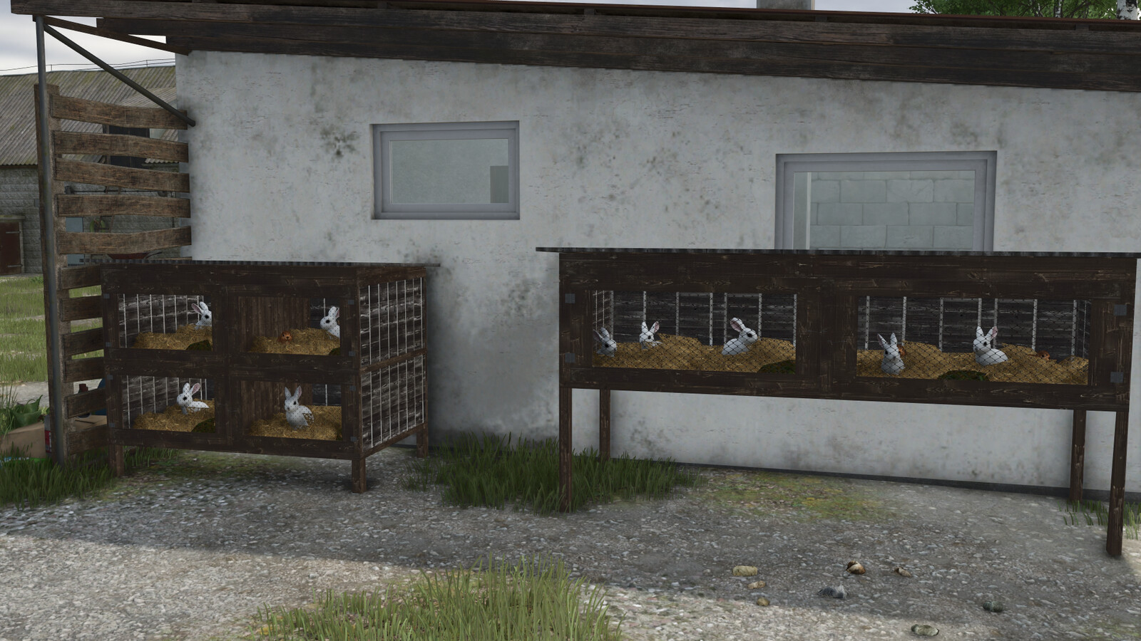 Rabbit Cages