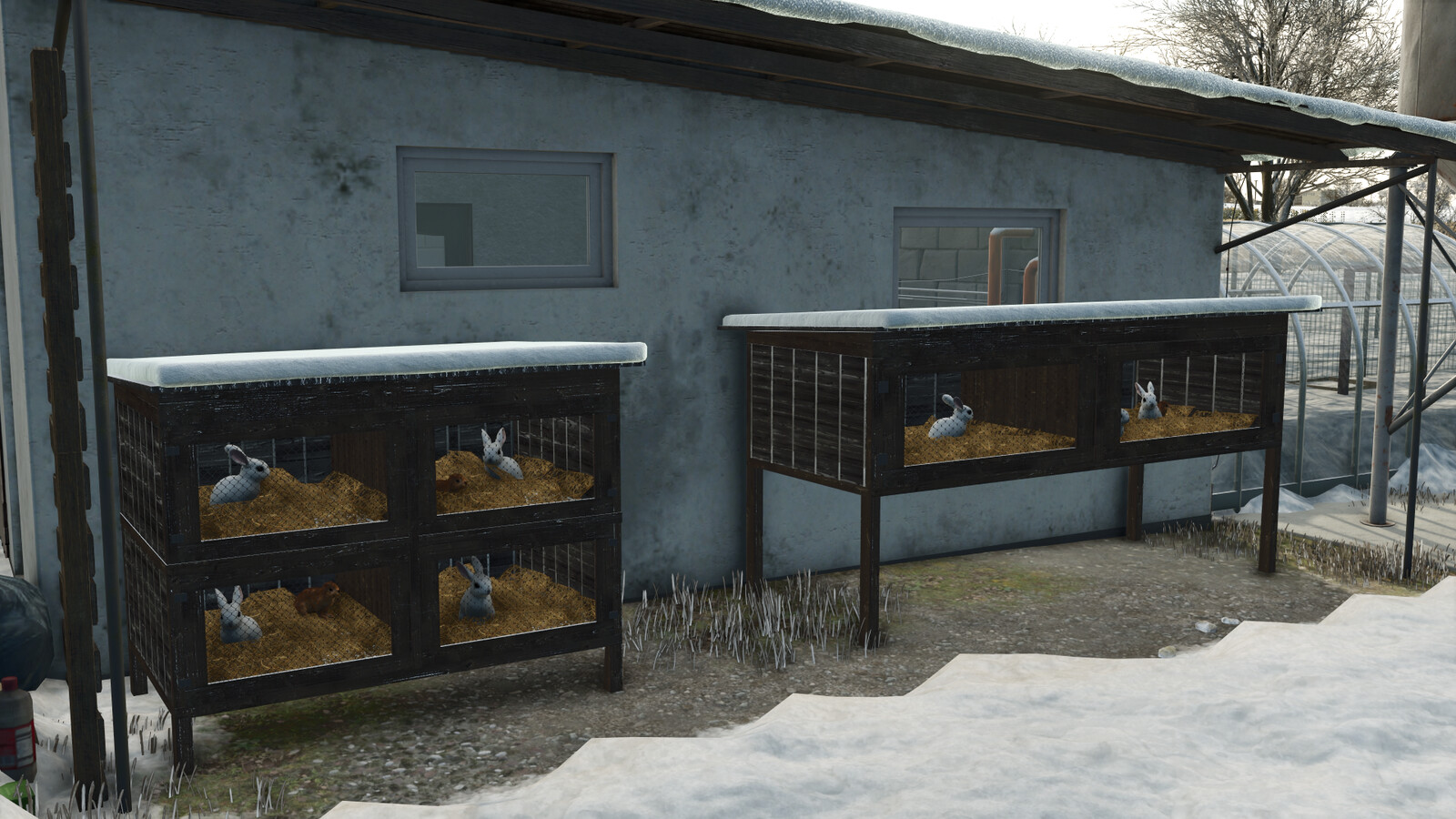 Rabbit Cages
