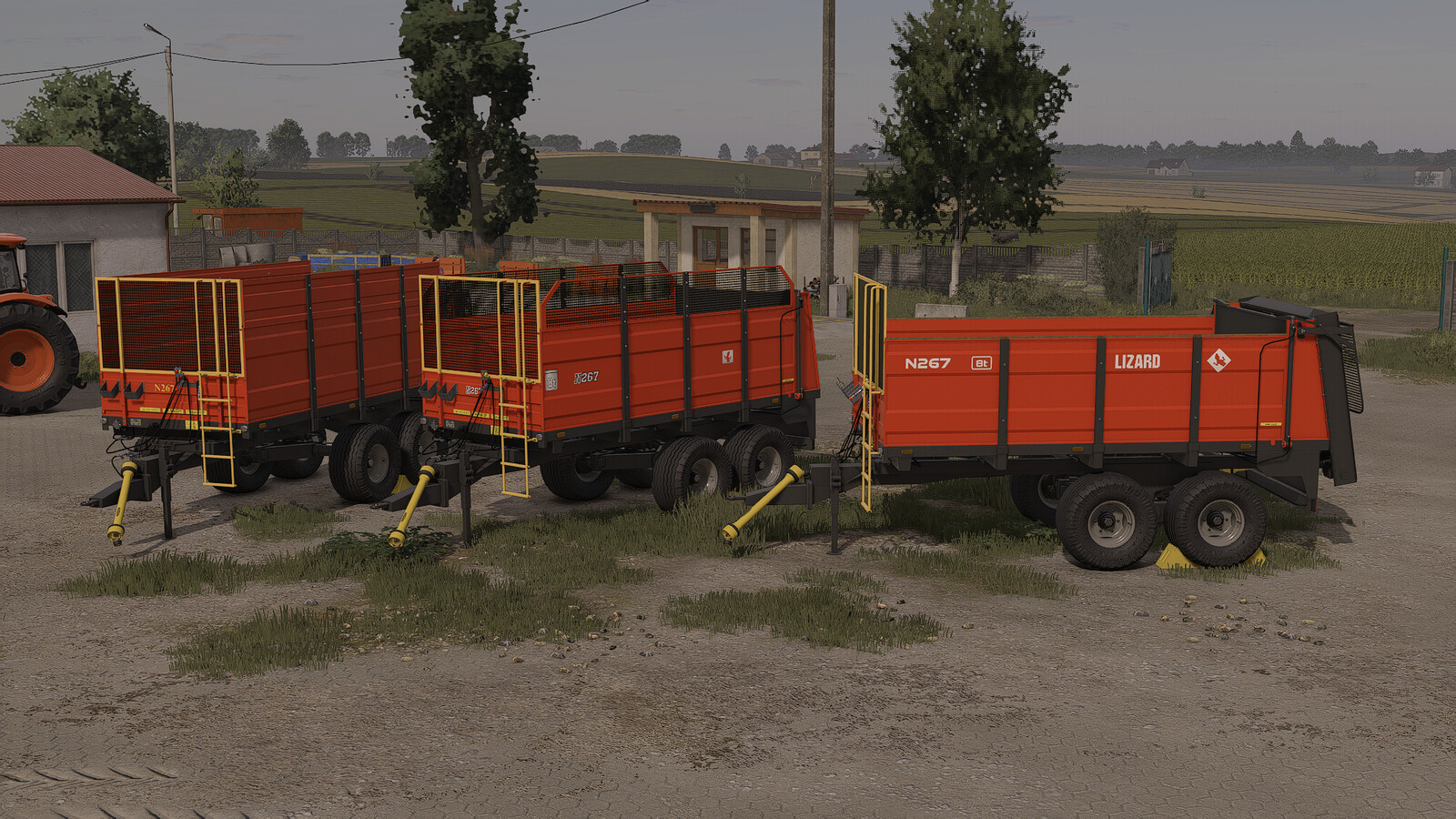 Lizard N267